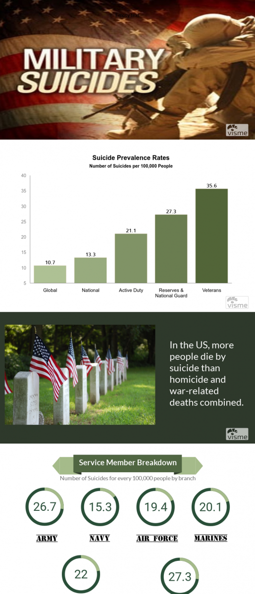 Military Suicides Rates Infographic