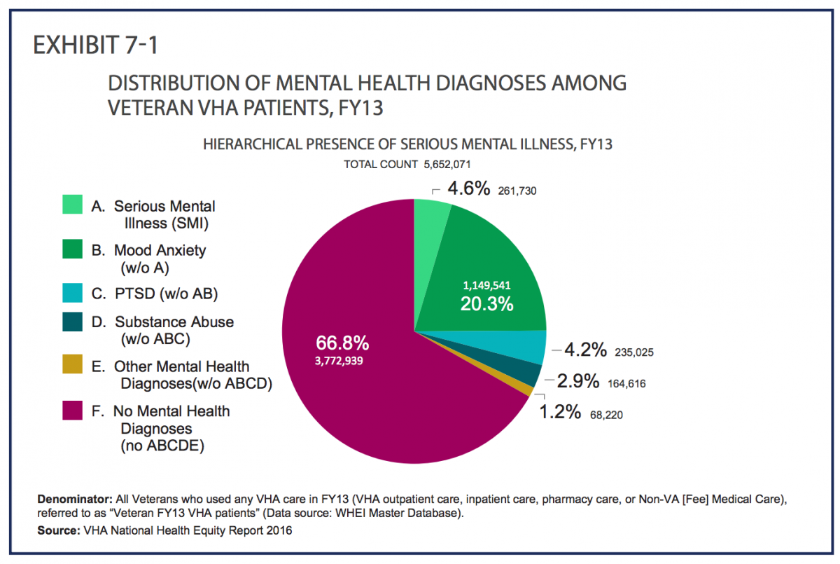 Distribution of Mental Health Diagnoses Among Veteran VHA Patients, FY13