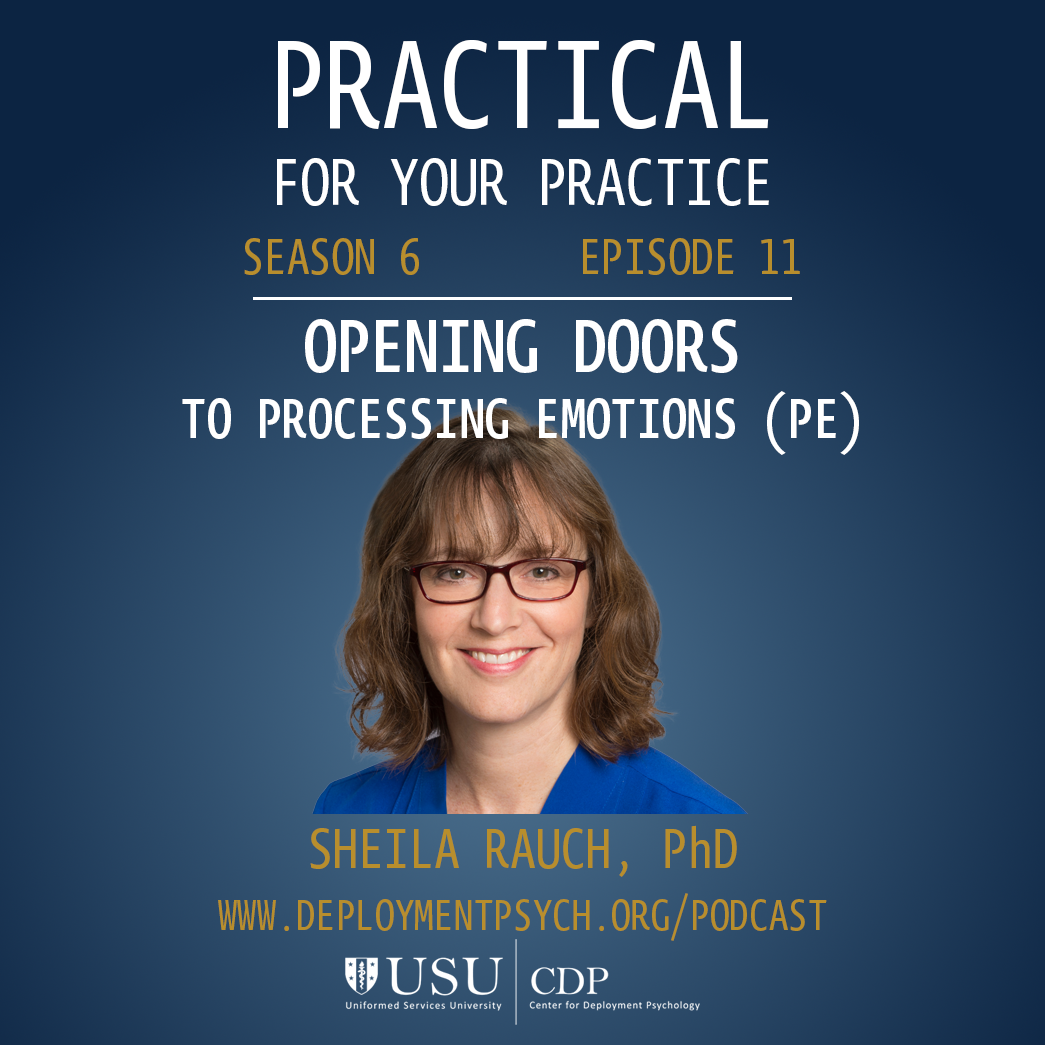 Practical for Your Practice album cover